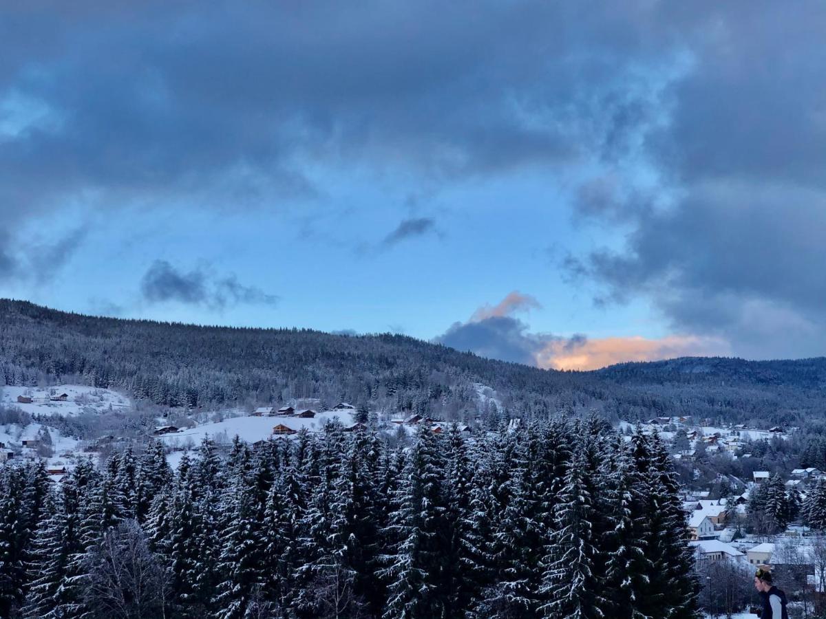 Le Bois Des Neiges Charmant Chalet Authentique A 5 Mn De Gerardmer كسونبورت-لونجمير المظهر الخارجي الصورة