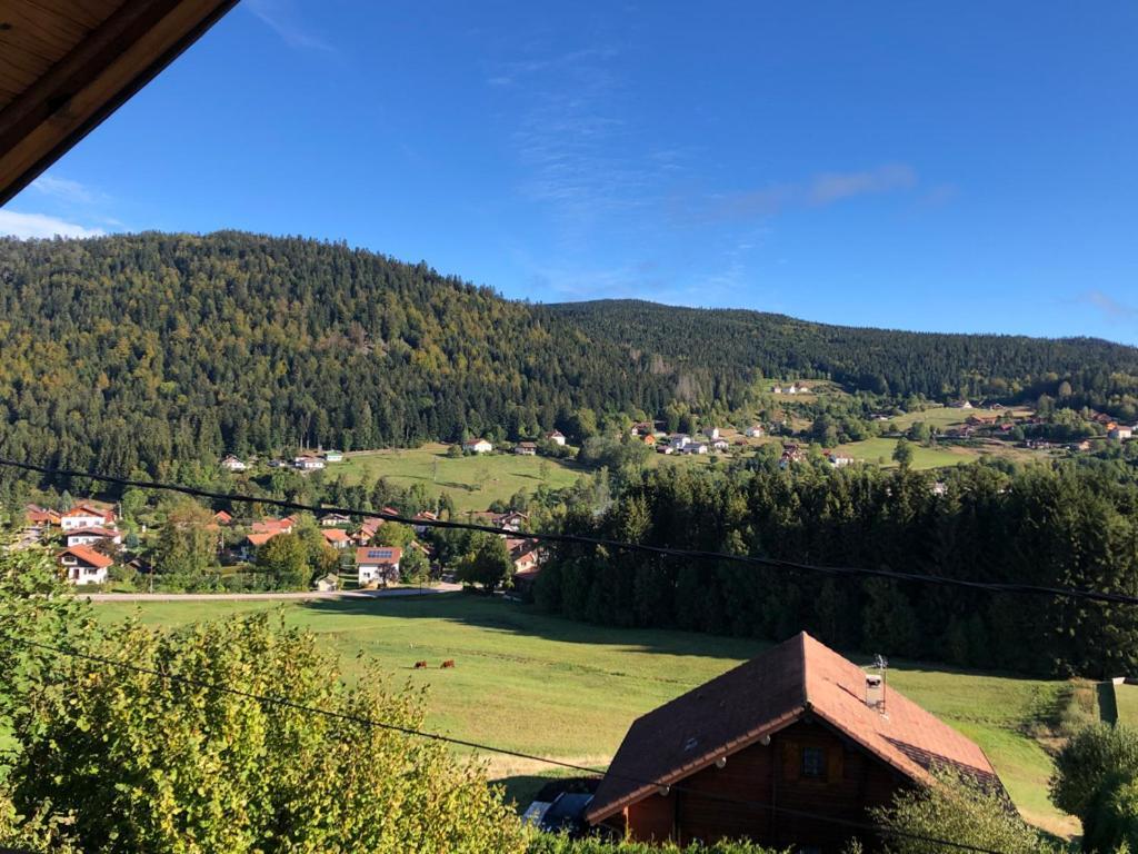 Le Bois Des Neiges Charmant Chalet Authentique A 5 Mn De Gerardmer كسونبورت-لونجمير المظهر الخارجي الصورة